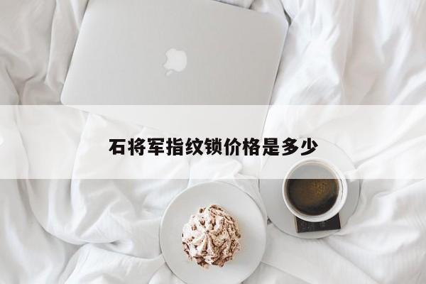 石將軍指紋鎖價格是多少